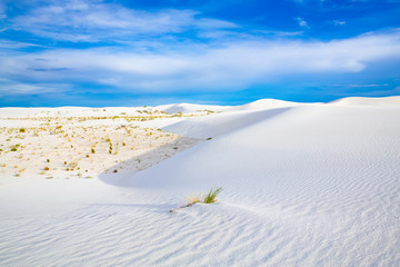 White Sands National Monument in New Mexico, USA