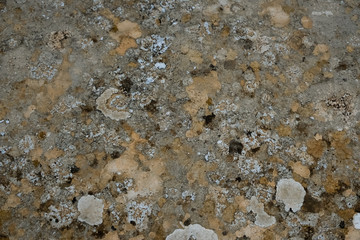 abstract grunge background