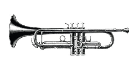 Fototapeta na wymiar Trumpet hand draw vintage style black and white clip art isolated on white background