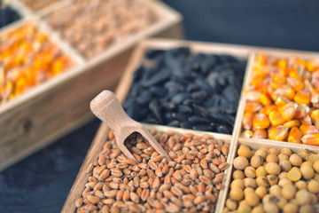 Small box with various grains and cereals on wooden table, top view, copy space
