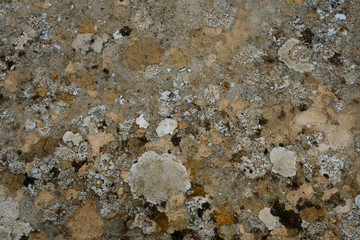 texture of stone