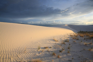 White Sands National Monument in New Mexico, USA