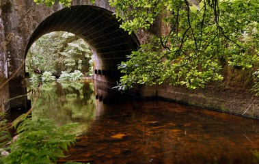 Old bridge in a forest huelgoat in france, Brittany