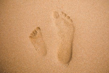 child and adult footprints on sand beach © nikkytok