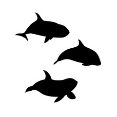 Vector illustration of hand drawn killer whale set silhouette. Marine animal orca family silhouette