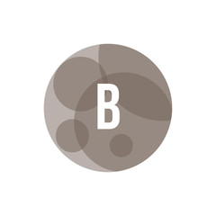 Initial Letter Logo B Template Vector Design