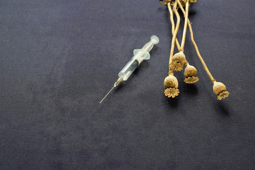 Poppy seed pods and a disposable syringe.