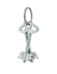 Metal keys on white
