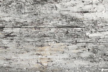Cracked wood background