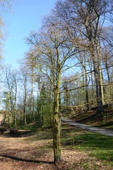 Bruxelles ((Belgique) : Parc Duden de Forest