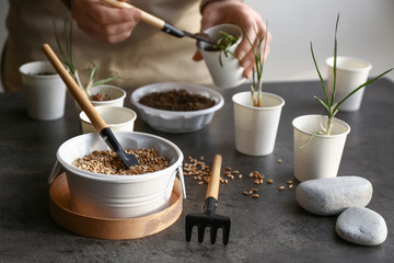 Woman transplanting fresh plants at table