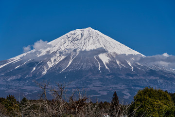 Fototapeta na wymiar 富士宮から見る富士山