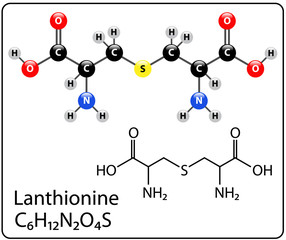 Lanthionine Molecule Structure