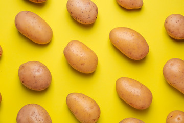 Raw potato on color background