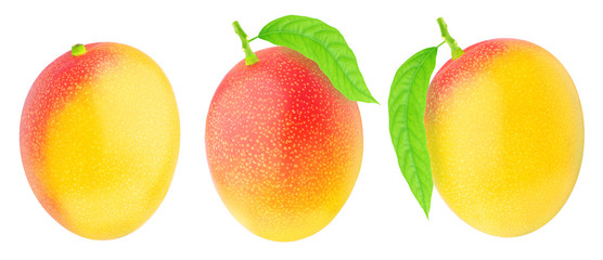 Set of juicy mangoes isolated on a white.