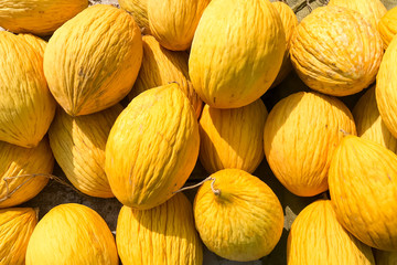 Melon fruits