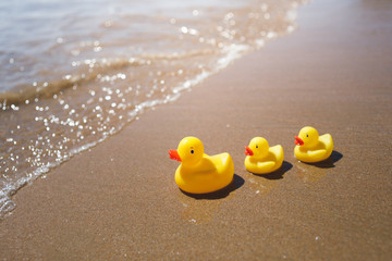 Fototapeta na wymiar yellow rubber ducks on the beach