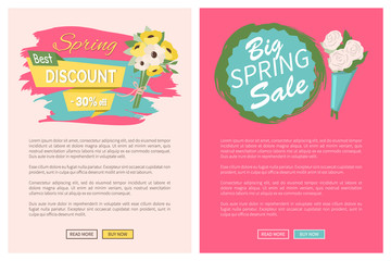 Sale, discount and best offer, label for springtime promotion and advertising, daisy bouquet. Advertisement decorated by flowers, greeting for ladies vector. Website with links buy and read now