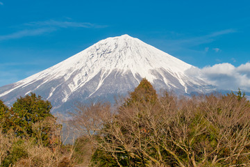 Fototapeta premium 冬の富士山
