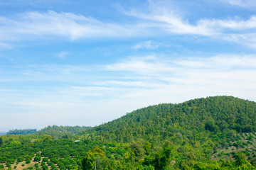 Fototapeta na wymiar Landscape of sky and green mountain in summer season at north Thailand.