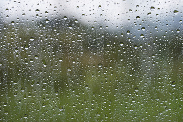 Rain drops on glass