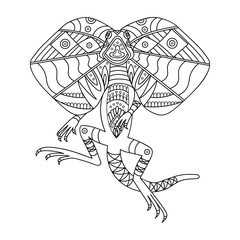 a lizard with a fringe runs on its hind legs. Linear drawing coloring pages for adults and children