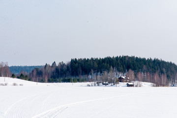 Fototapeta premium winter forest on the frozen lake