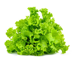 fresh green lettuce leaves isolated on white