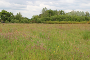 Countryside around Nantes (France)