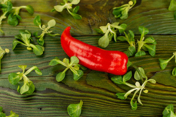 Hot pepper and lettuce leaves