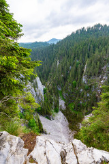 Obraz premium Summer mountain scenery in the Alps, with rocky clifs and fir tree forests