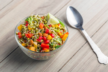 sprouted lentil salad