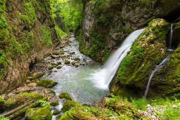 Pristine river and waterfalls deep in the mountains, in summer, and bright green foliage