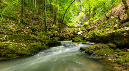 Pristine river and waterfalls deep in the mountains, in summer, and bright green foliage