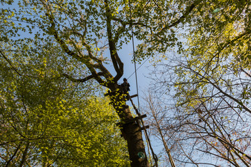 Fototapeta premium Parcours d'Accrobranche en forêt avec personne en action