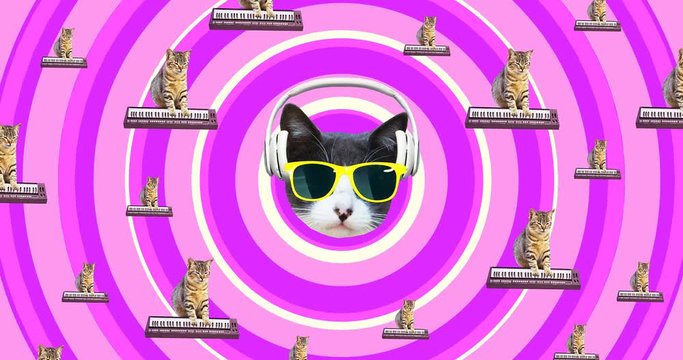Minimal motion gif art. Musical cat gang. Funny animation modern design