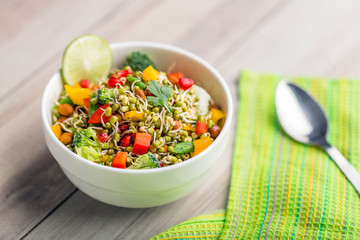 sprouted lentil salad