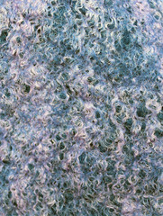 art color felt background texture, wool handmade textile