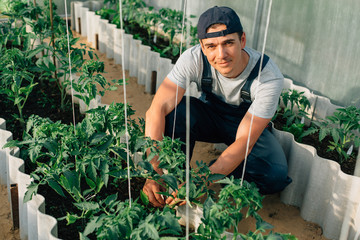 Handsome cheerful young gardener in overall and cap working in greenhouse. Portrait of joyful...