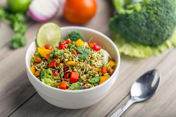sprouted lentil salad