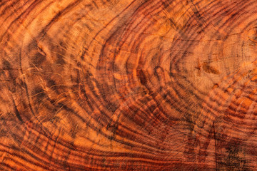 The abstract natural slab wood texture of the background. The creative concept of ecological...