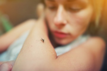 A mosquito sits on the woman's hand, and sucks blood. Pain, danger of infection. Dangerous Zica...