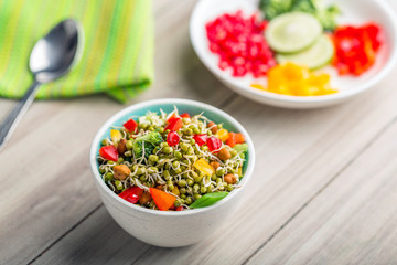 sprouted lentil salad
