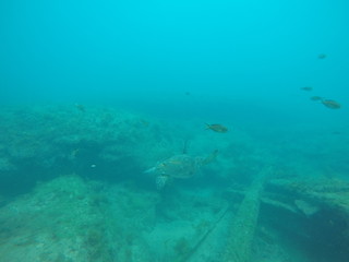 DCIM\100GOPRO\GOPR2184.