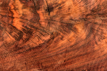 The abstract natural slab wood texture of the background. The creative concept of ecological nature. Background mahogany pattern.