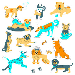 Vector illustration of dogs in hand drawn sketch style. Flat and line doggies set isolated on white background.