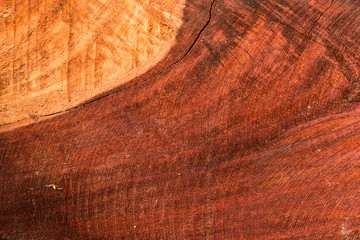 The abstract natural slab wood texture of the background. The creative concept of ecological nature. Background mahogany pattern.