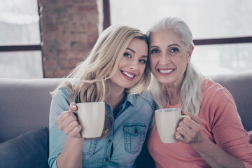 Close up photo two people funny she her ladies mom granddaughter child grandmother hot beverage tea conversation tell speak say secrets best fellows sit comfy couch divan flat house indoors