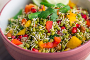 sprouted lentil salad