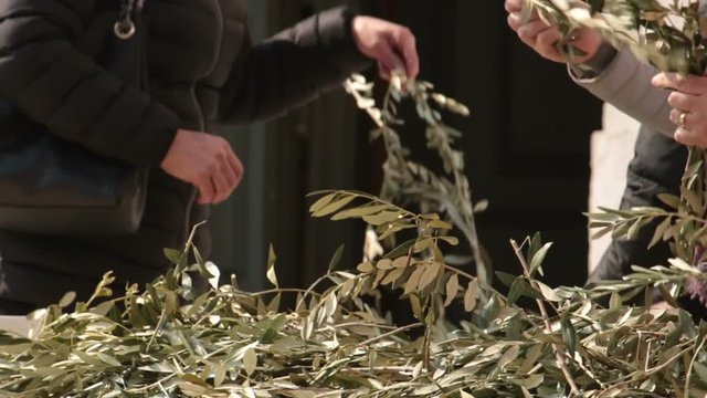 people take olive branches. Palm Sunday is a Christian moveable feast